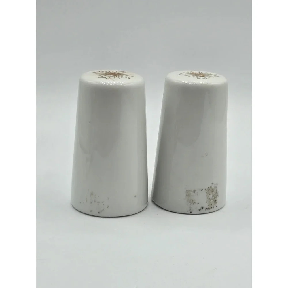 Arizona Roadrunner Vintage Salt & Pepper Shakers  souvenir State US 3